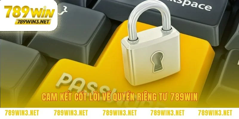 Cam kết quyền riêng tư 789WIN là lời hứa thương hiệu