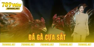 đá gà cựa sắt