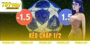 kèo chấp 1/2